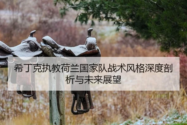 xi-ding-ke-zhi-jiao-he-lan-guo-jia-dui-zhan-shu-feng-ge-shen-du-pou-xi-yu-wei-lai-zhan-wang-2-767.jpg